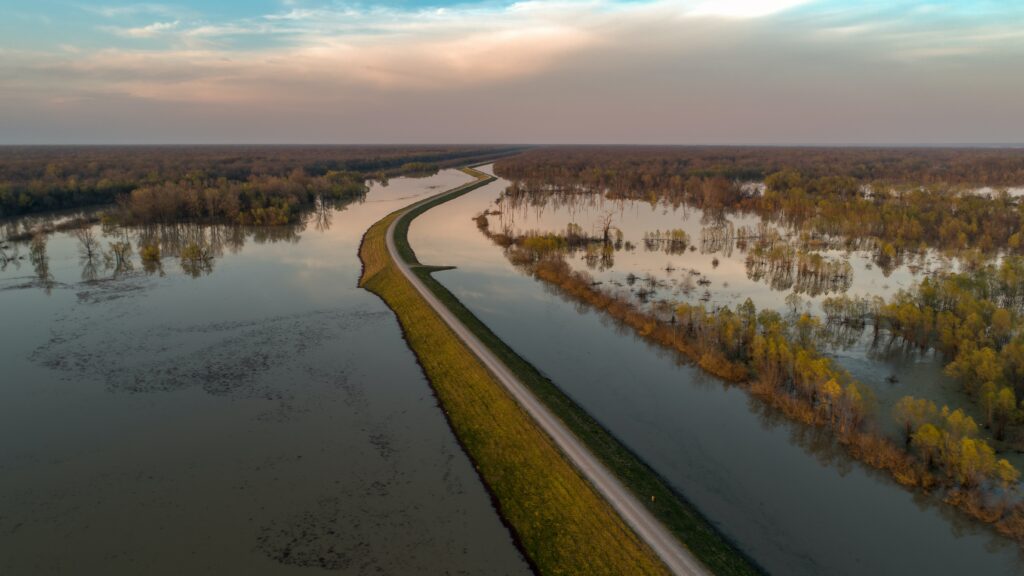 Floodplain with a road through the middle