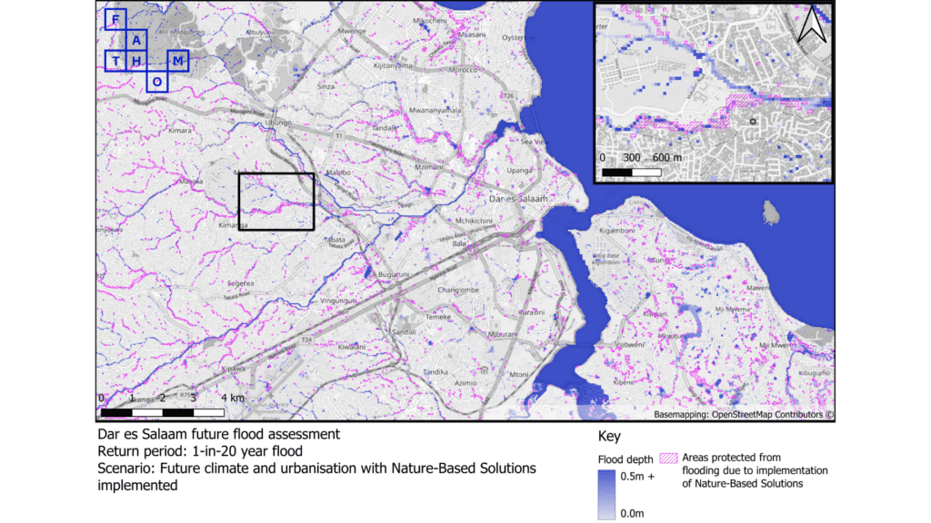 Dar es Salaam future flood assessment image