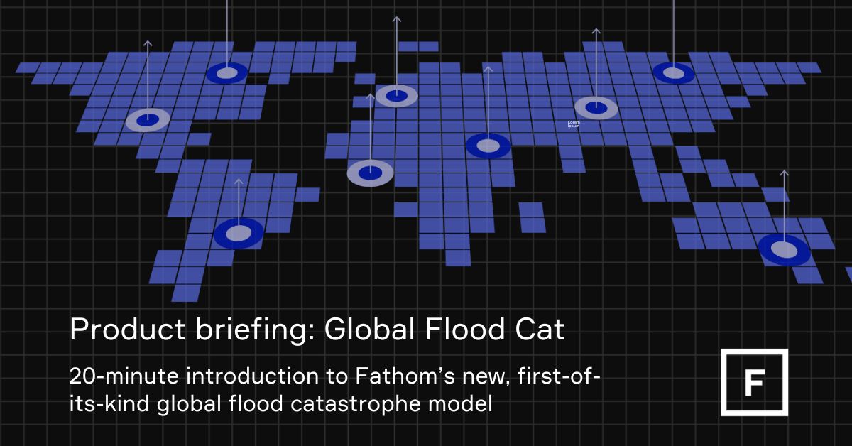 Product briefing: Global flood cat