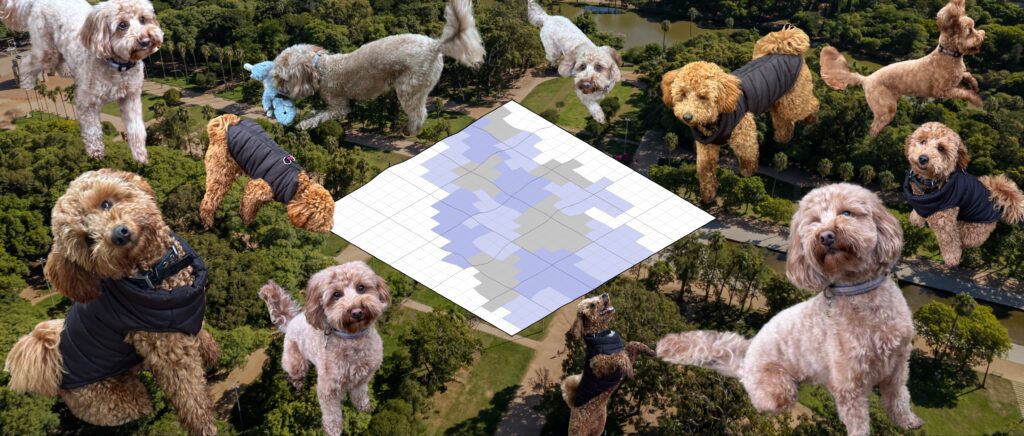 lots of photos of different poodle cross dog breeds over an image of a park with a GIS flood tile