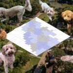 lots of photos of different poodle cross dog breeds over an image of a park with a GIS flood tile