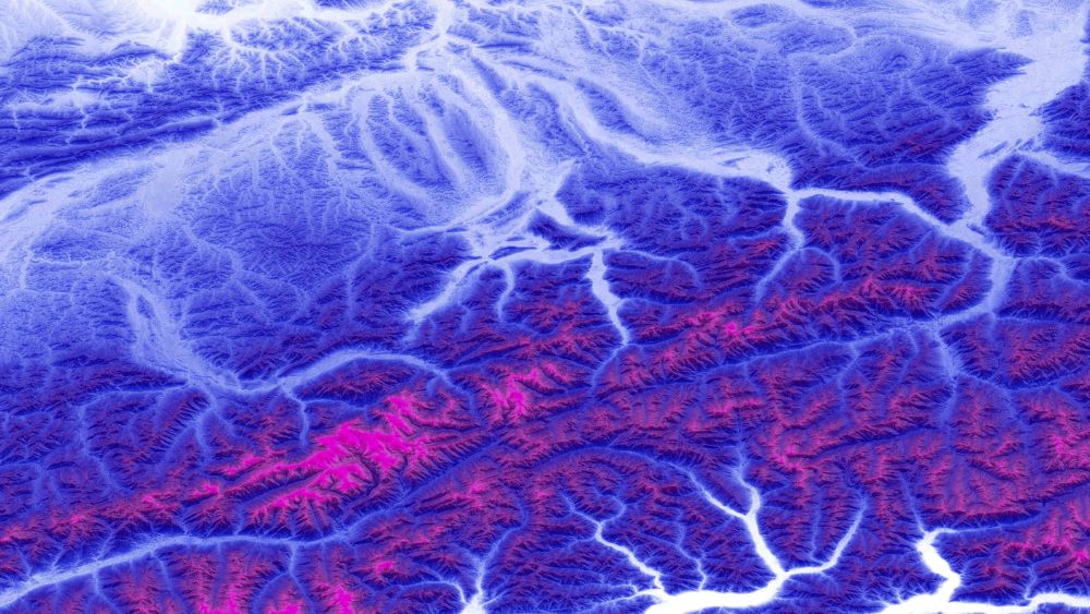 global terrain data image