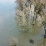 Flooding and trees aerial footage