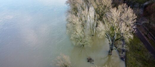 Flooding and trees aerial footage